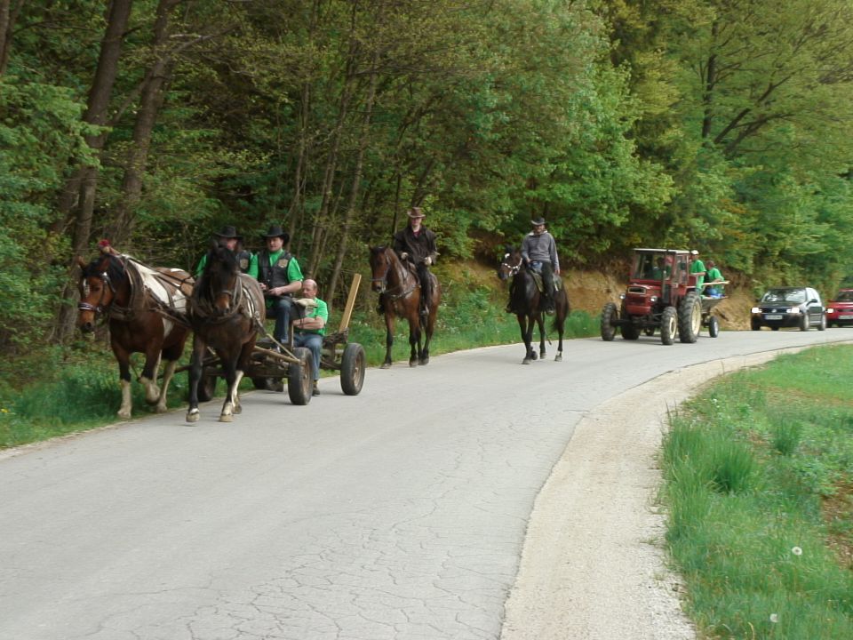 SMREKA 2011 - foto povečava