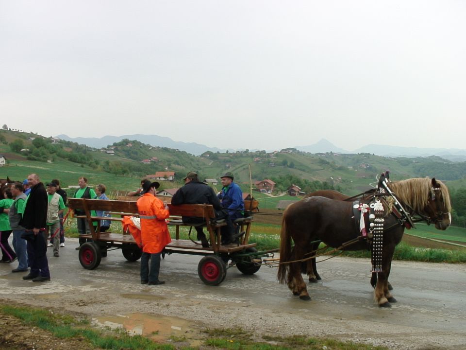 SMREKA 2011 - foto povečava