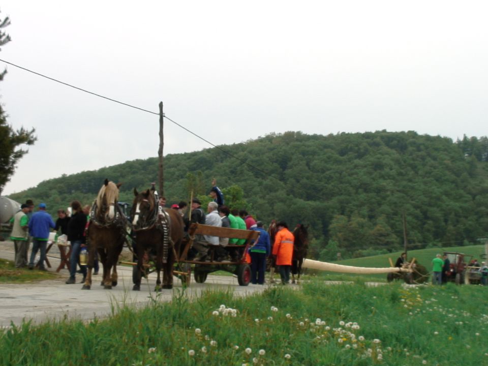 SMREKA 2011 - foto povečava