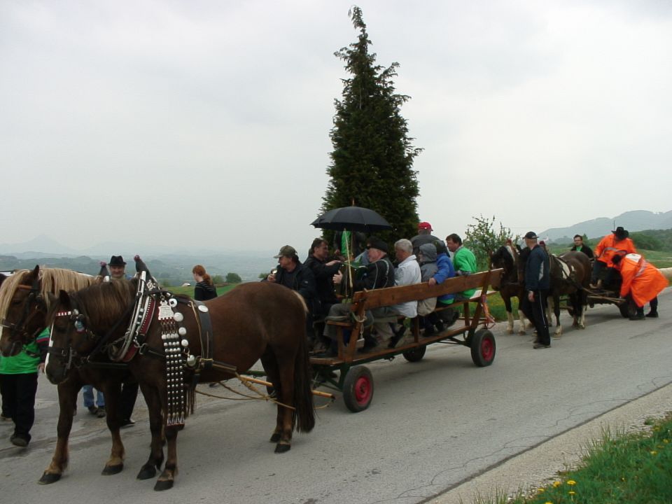 SMREKA 2011 - foto povečava