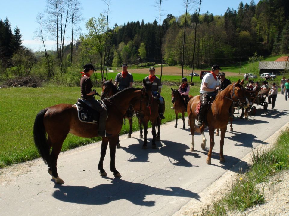 MLAJ 2012 - foto povečava