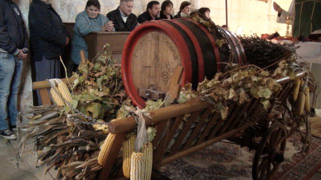 MARTINOVANJE NA SV.HELENI - foto