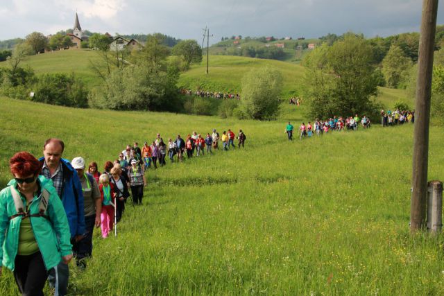 SMREKA SLIKE   2014 - foto