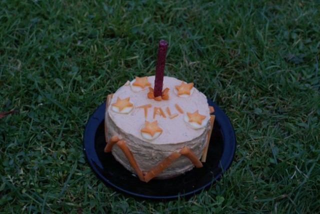 Happy Birthday Tali - foto