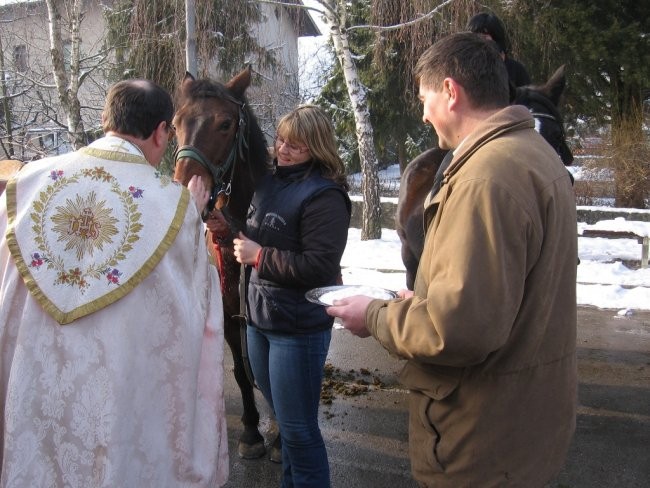 Blagoslov konj - Štefanovo 2007 - foto povečava