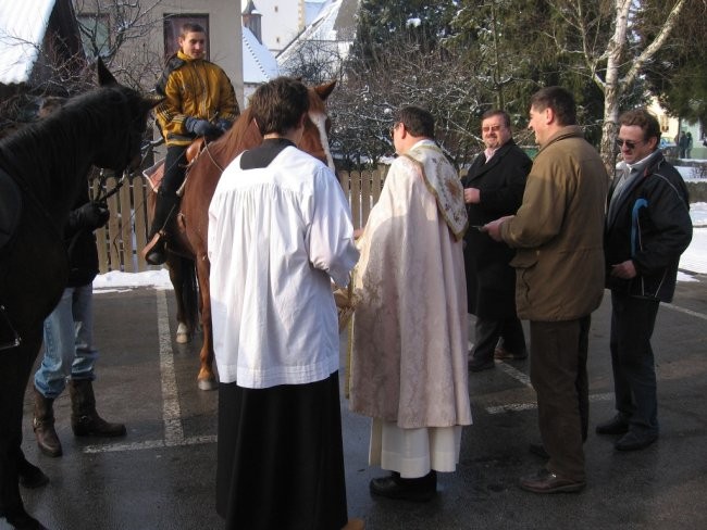 Blagoslov konj - Štefanovo 2007 - foto povečava