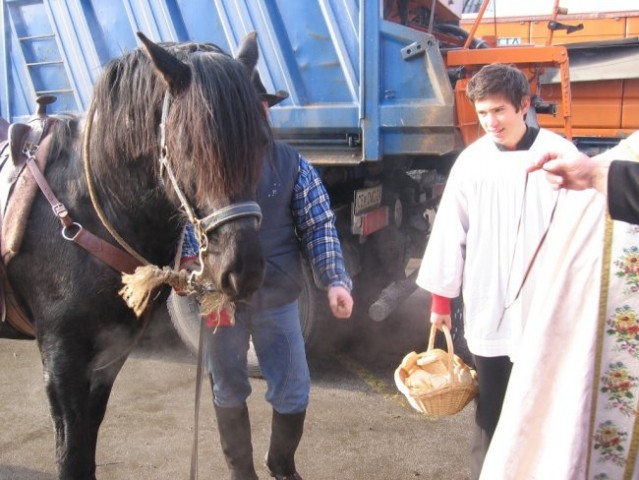 Blagoslov konj - Štefanovo 2007 - foto