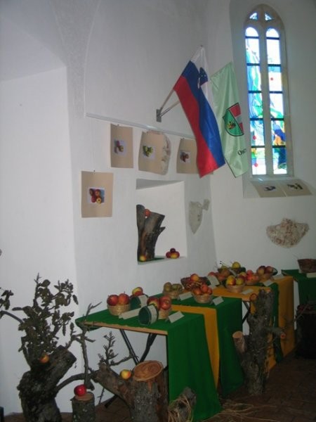 Razstava jabolk - Slomškova kapela (Nova Cerk - foto
