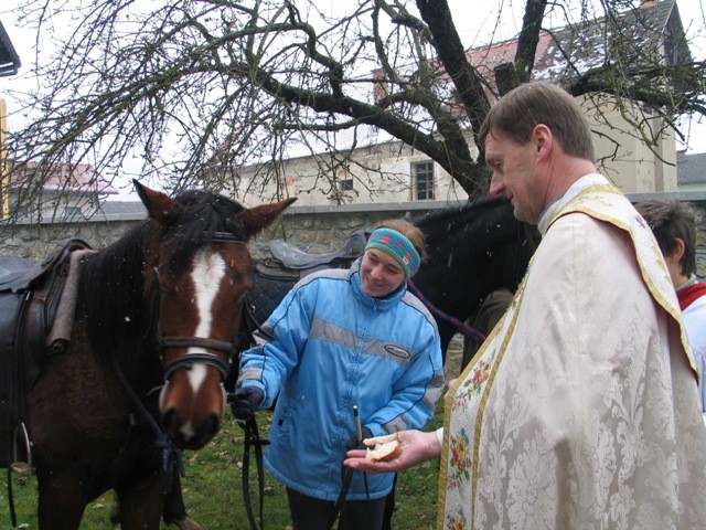 Blagoslov konj - Štefanovo 2005 - foto