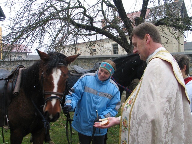 Blagoslov konj - Štefanovo 2005 - foto povečava