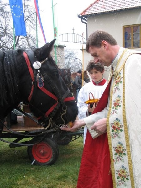 Blagoslov konj - Štefanovo 2005 - foto