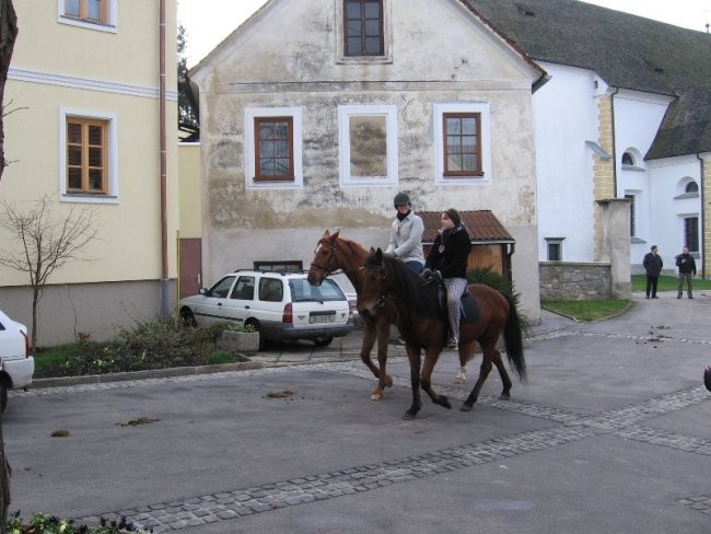 Blagoslov konj - Štefanovo 2006 - foto povečava
