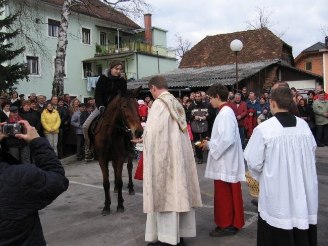 Blagoslov konj - Štefanovo 2006 - foto povečava