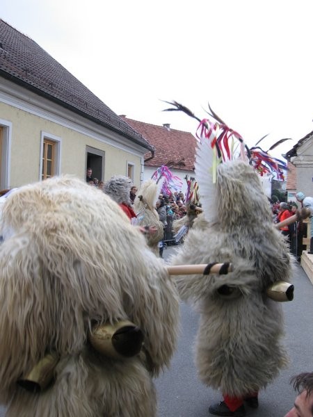 20. Pustni karneval - Nova Crekev 2007 - foto