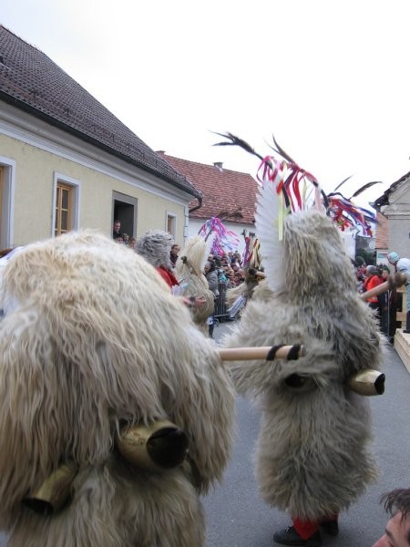 20. Pustni karneval - Nova Crekev 2007 - foto povečava