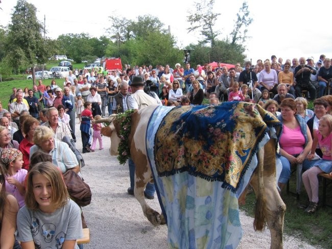 Grajska nedelja 2007 - grad Lemberg - foto povečava