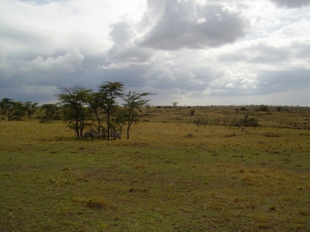 Kenija - foto