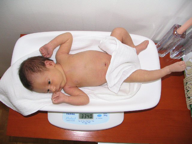 6.3.2006; 11 dni stara BRINA, pridobila 270 gramov od rojstva.
March 6th, 11 days old BRI