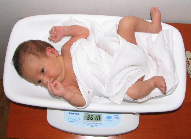 10.3.2006; 15 dni stara BRINA, pridobila 520 gramov od rojstva. March 6th, 15 days old BRI