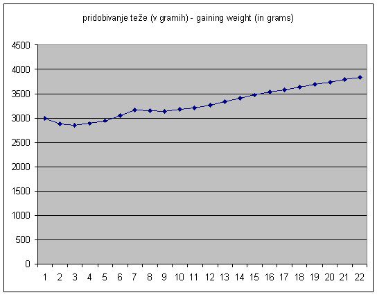 pridobivanje teže po dnevih (v gramih) = gaining weight by days (in grams)