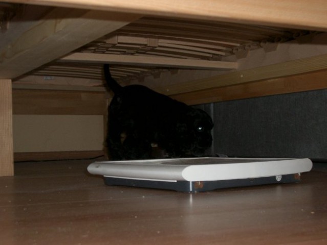 Pod posteljo.