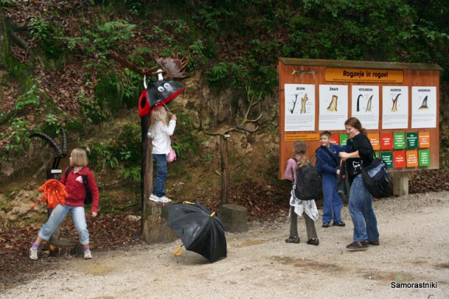 Živalski vrt 2009 - foto