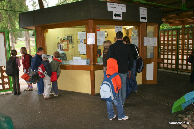 Živalski vrt 2009 - foto povečava