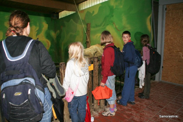 Živalski vrt 2009 - foto