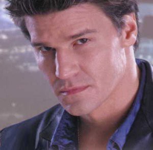 David Boreanaz