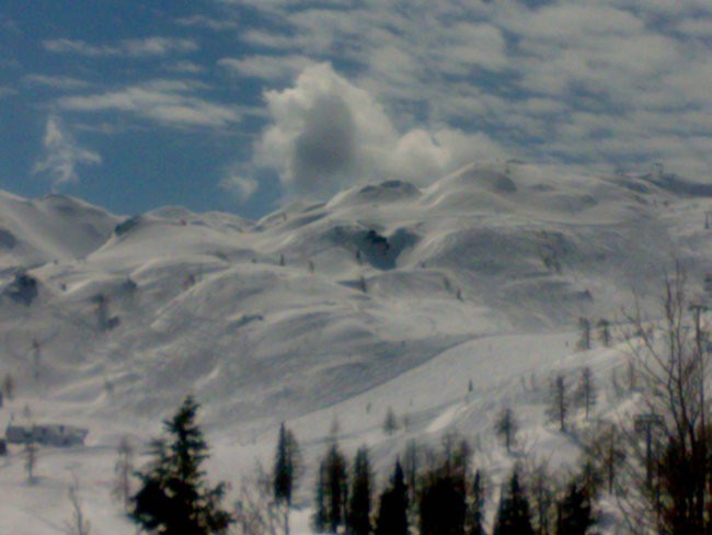 Vogel 2008 SKI - foto povečava