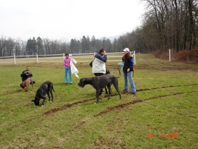 Zajčja 26.3.05 - foto