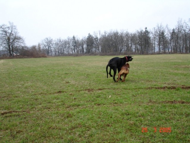 Zajčja 26.3.05 - foto