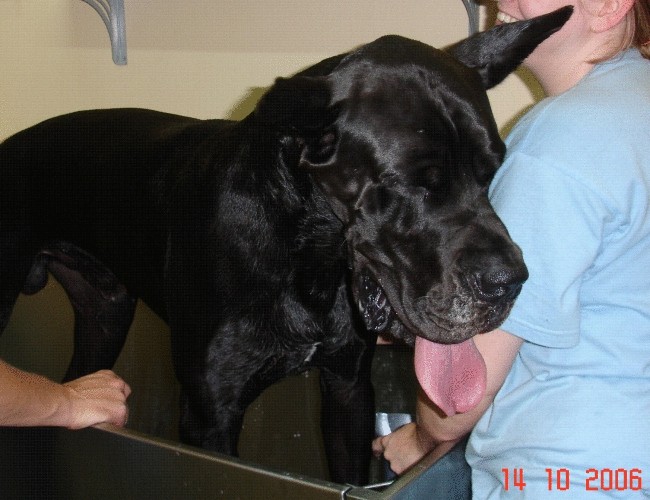 Jesen 2006 - foto povečava