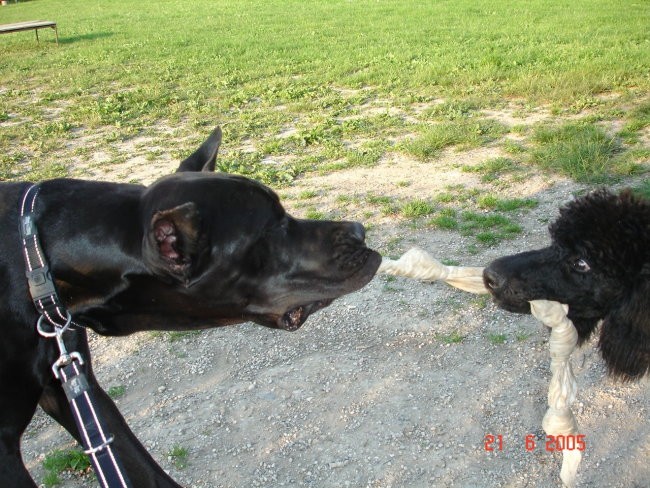 Mala šola - foto povečava