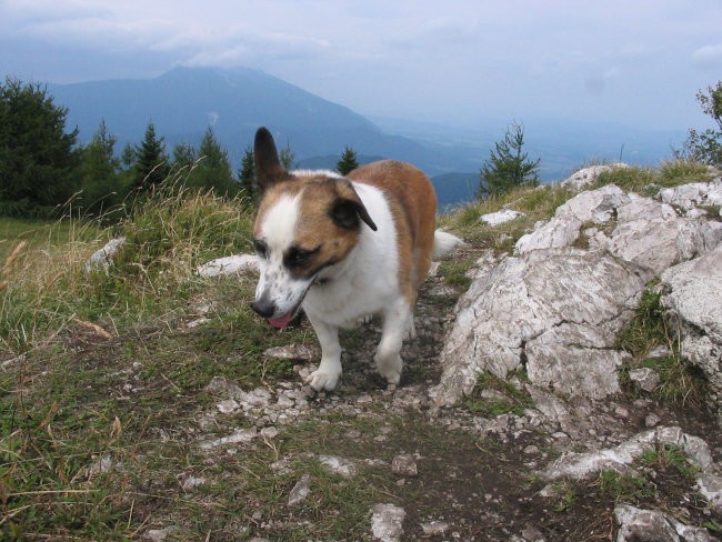 IKA NA URŠLJI GORI (16.8.06) - foto povečava