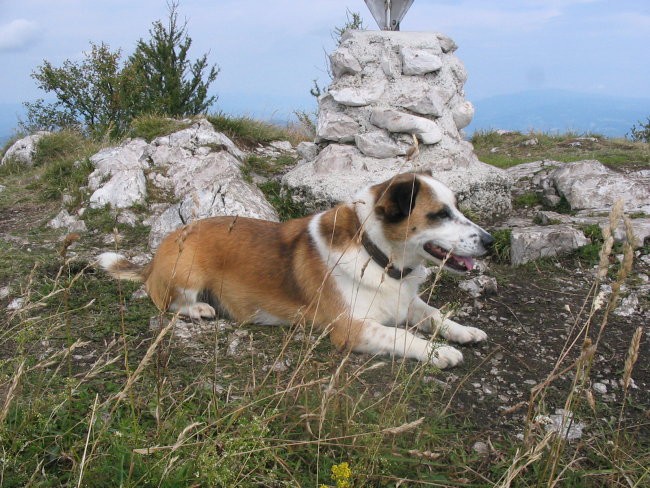 IKA NA URŠLJI GORI (16.8.06) - foto povečava