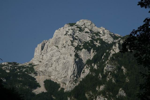Velika planina, Konj, 2.8.2007 - foto