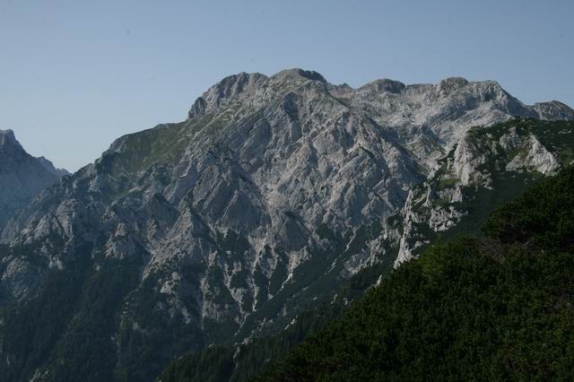 Velika planina, Konj, 2.8.2007 - foto povečava