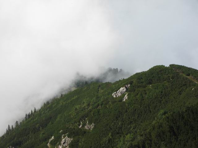 Kališče, Bašeljski vrh, 13.8.2007 - foto