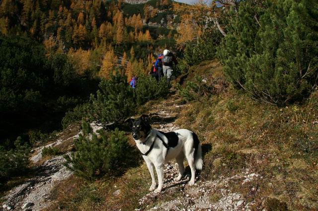 Mišelj vrh, Mišeljski konec, 7.10.2007 - foto povečava