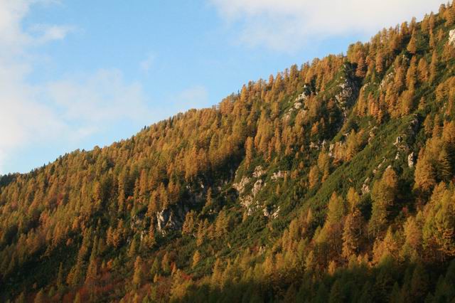 Mišelj vrh, Mišeljski konec, 7.10.2007 - foto povečava