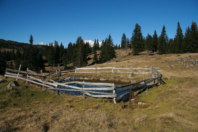 Velika planina, 1.11.2007 - foto povečava