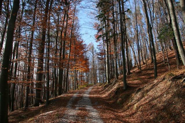 Porezen, 4.11.2007 - foto povečava