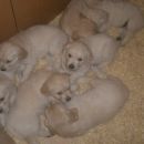 Cuteeee!!!