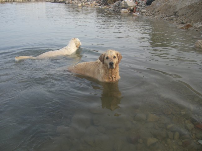 Pašman, Črna gora-28.6-5.7.06 - foto povečava