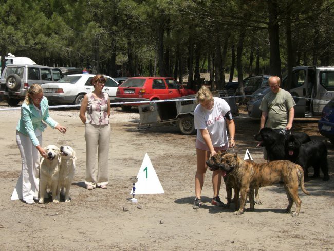 Pašman, Črna gora-28.6-5.7.06 - foto povečava