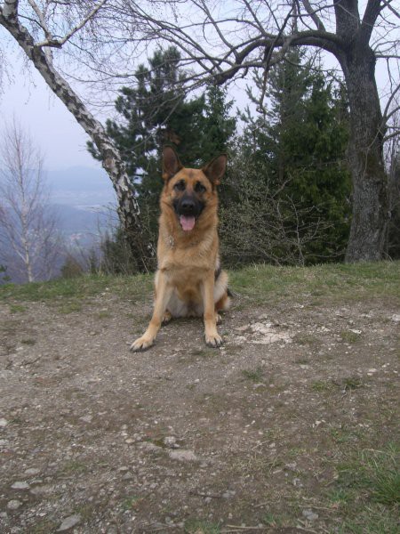 Pohod na Katarino in Sv.Jakoba-8.4.2007 - foto povečava