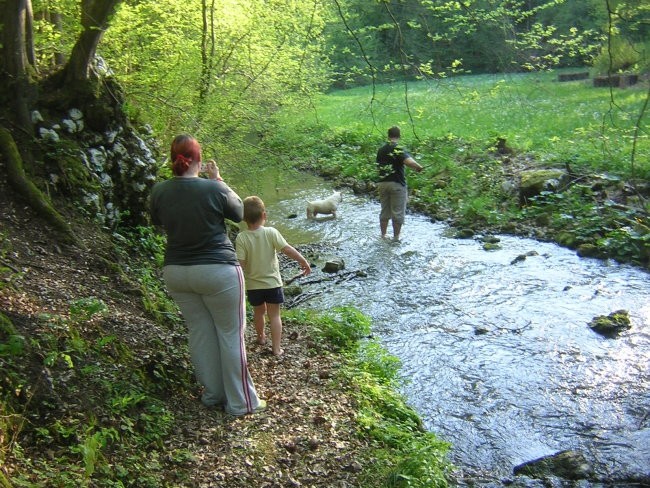 Skupinske - foto povečava