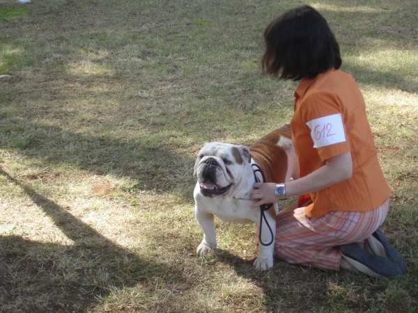 CACIB Umag 2006 - foto povečava