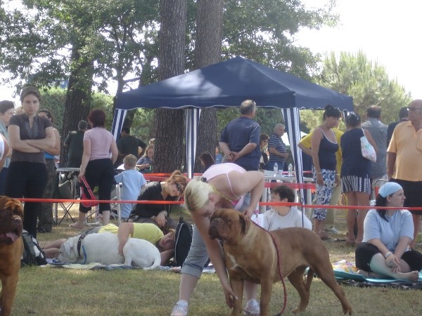 CACIB Umag 2006 - foto povečava